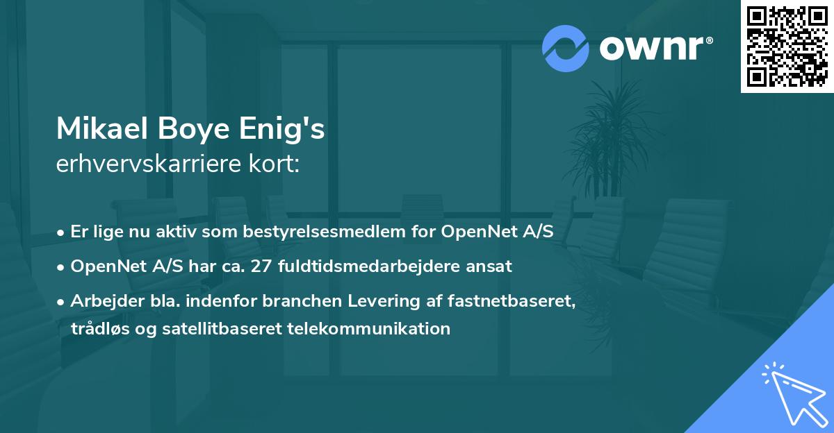 Mikael Boye Enig's erhvervskarriere kort