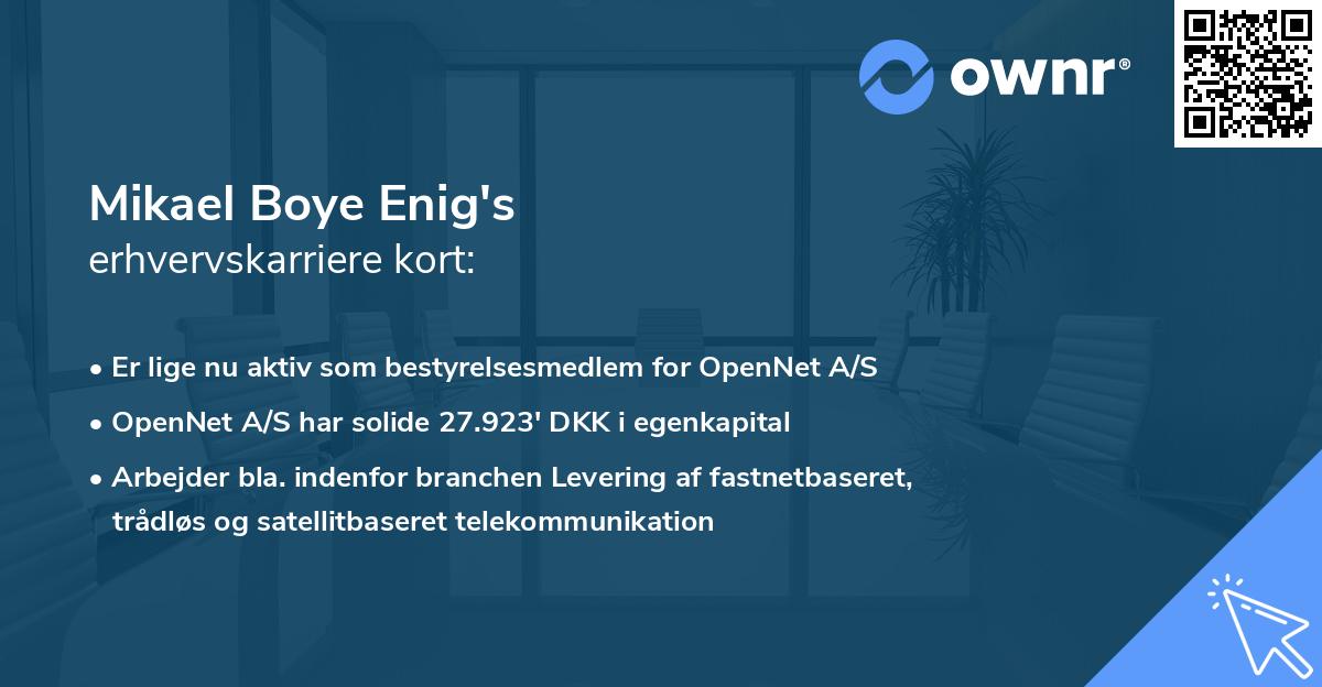 Mikael Boye Enig's erhvervskarriere kort