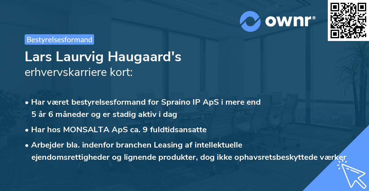 Lars Laurvig Haugaard's erhvervskarriere kort