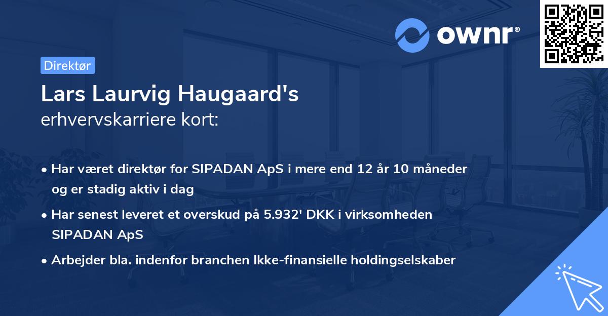 Lars Laurvig Haugaard's erhvervskarriere kort