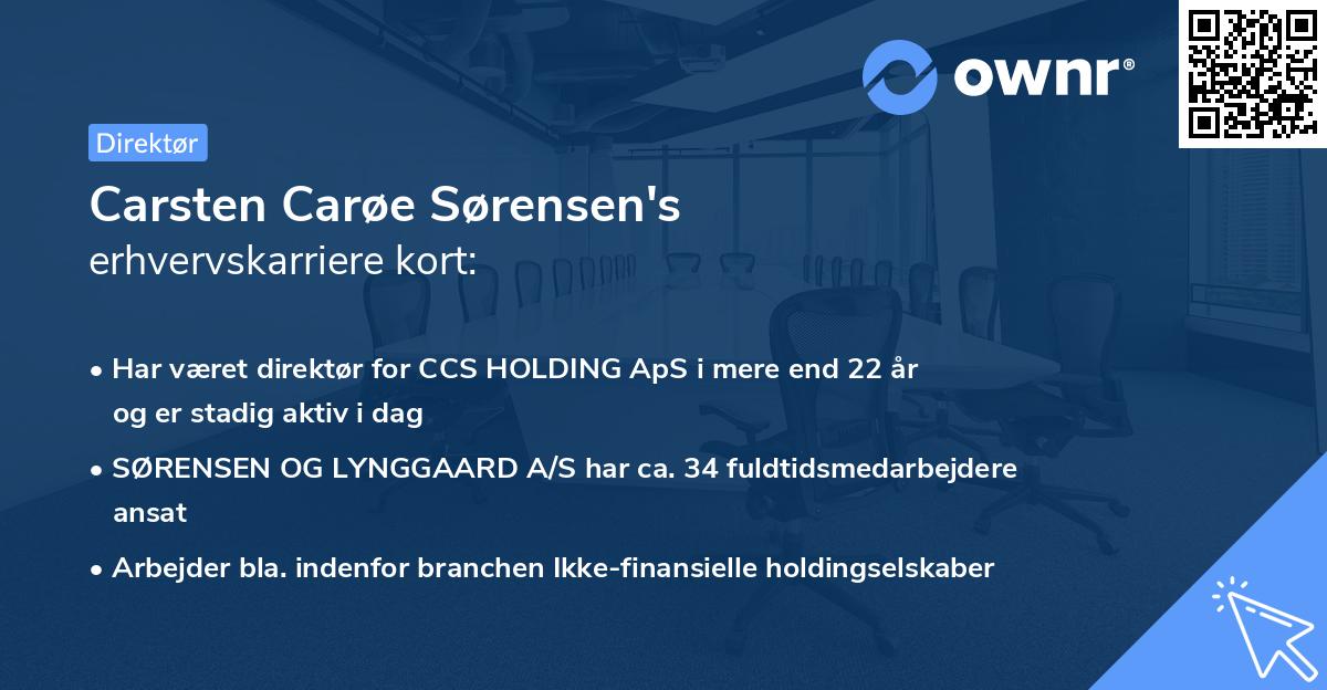 Carsten Carøe Sørensen's erhvervskarriere kort