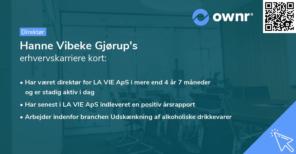 Hanne Vibeke Gjørup's erhvervskarriere kort