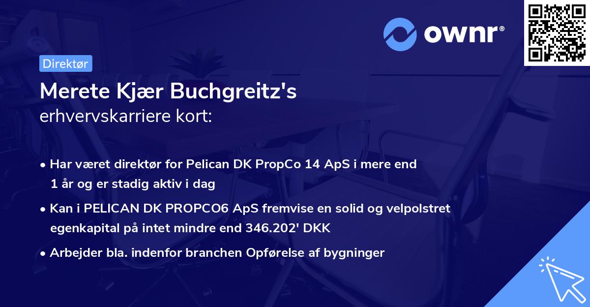 Merete Kjær Buchgreitz's erhvervskarriere kort