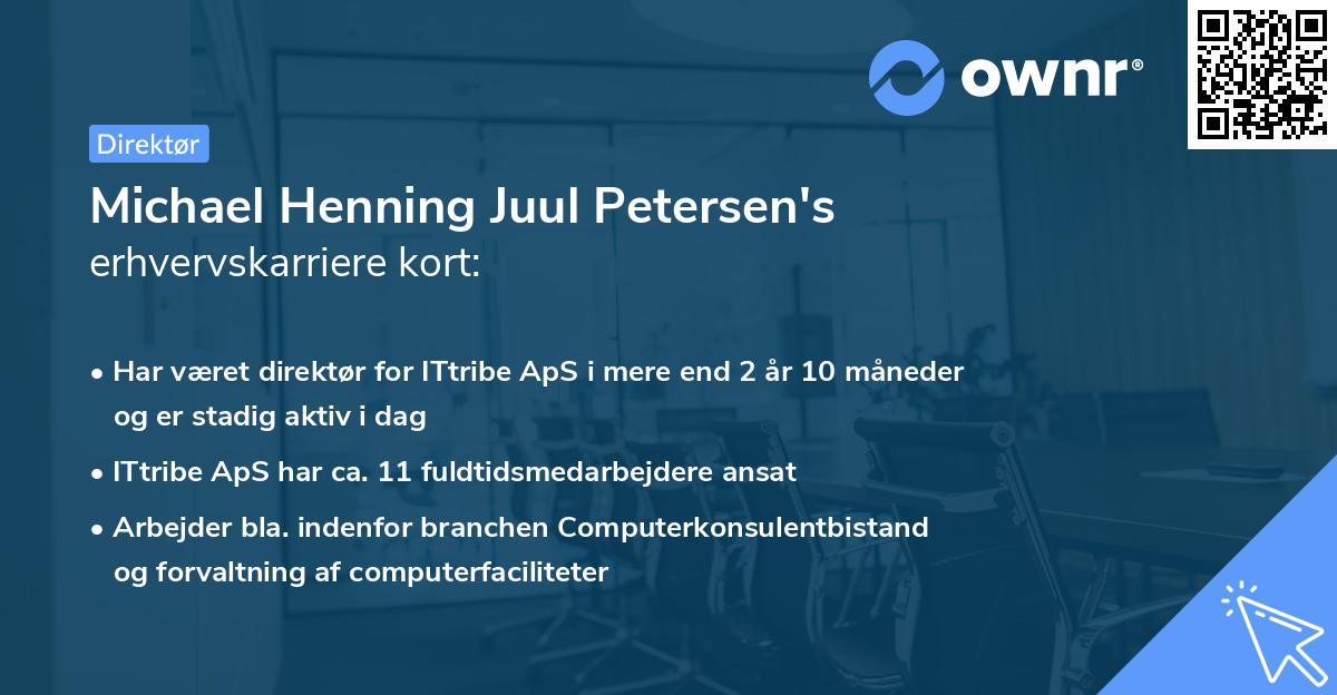 Michael Henning Juul Petersen's erhvervskarriere kort