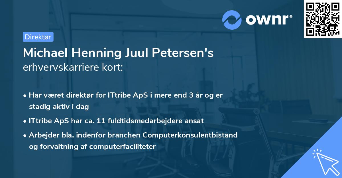 Michael Henning Juul Petersen's erhvervskarriere kort