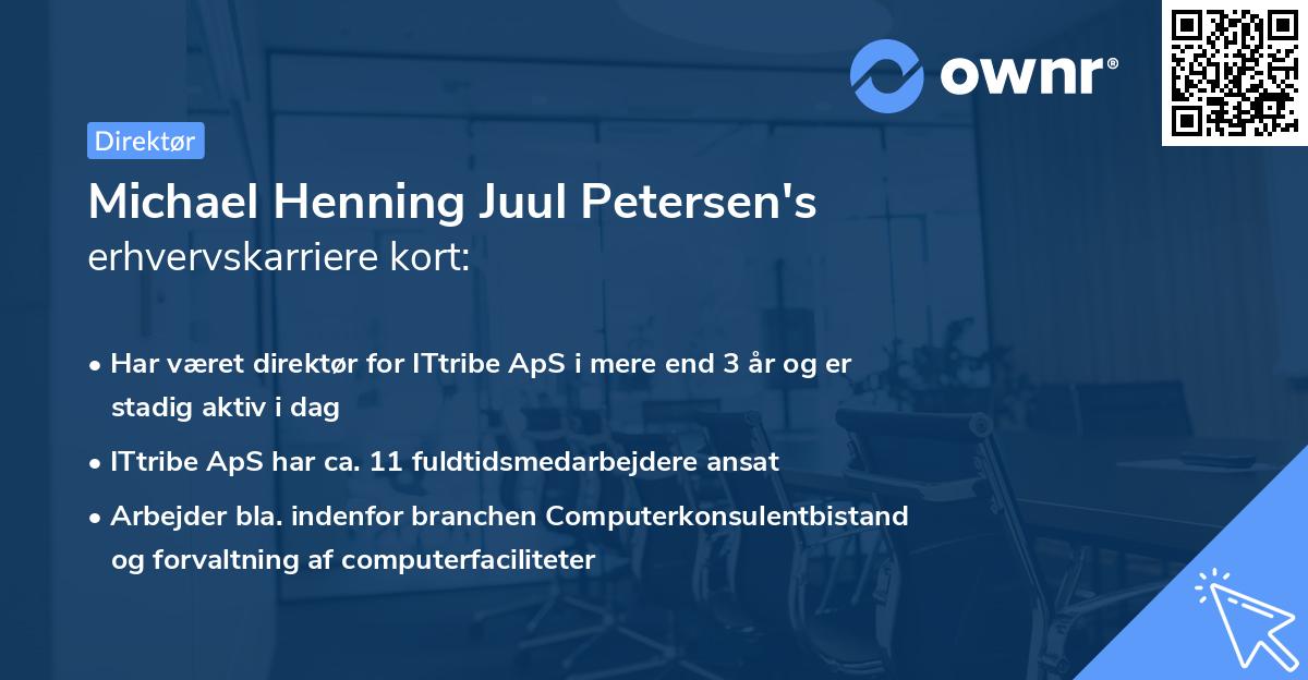 Michael Henning Juul Petersen's erhvervskarriere kort