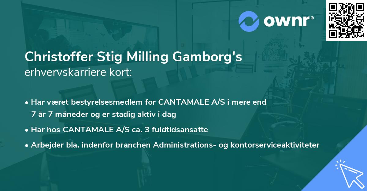 Christoffer Stig Milling Gamborg's erhvervskarriere kort