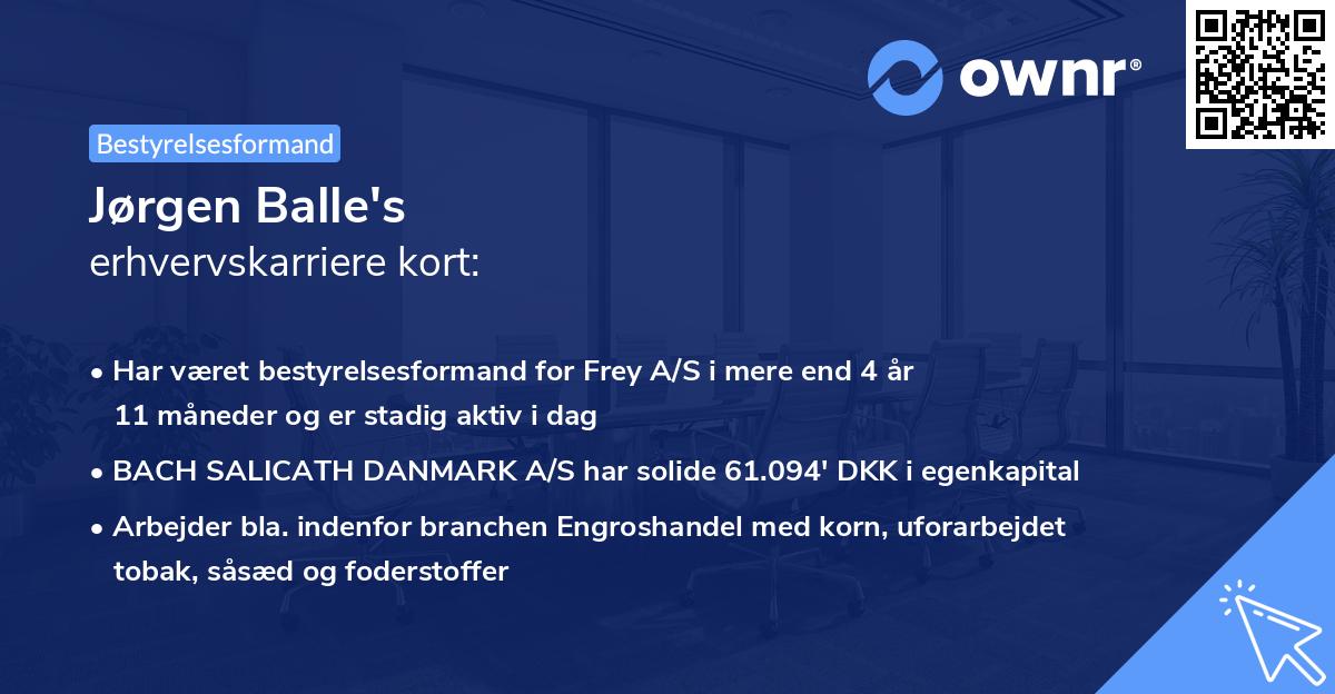 Jørgen Balle's erhvervskarriere kort