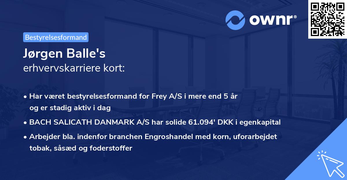 Jørgen Balle's erhvervskarriere kort