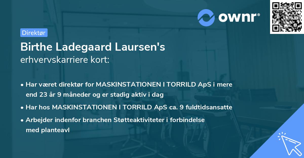 Birthe Ladegaard Laursen's erhvervskarriere kort