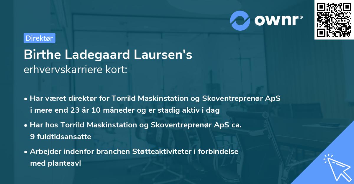 Birthe Ladegaard Laursen's erhvervskarriere kort