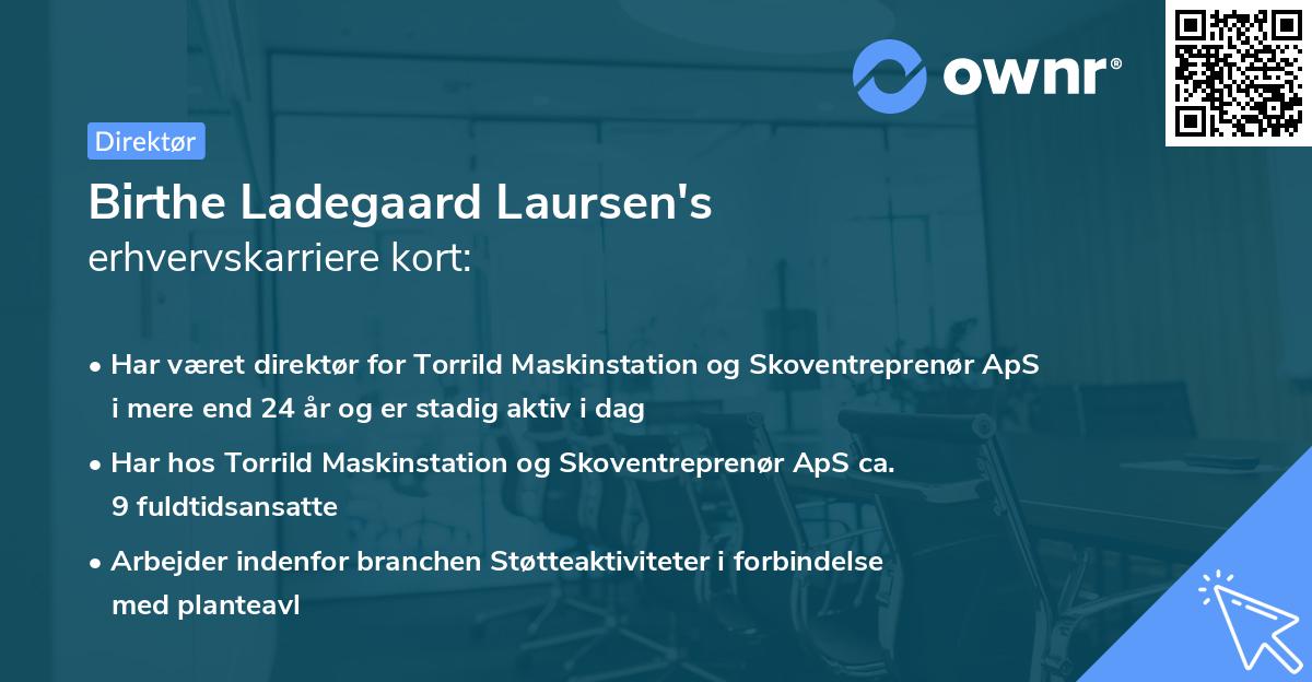 Birthe Ladegaard Laursen's erhvervskarriere kort