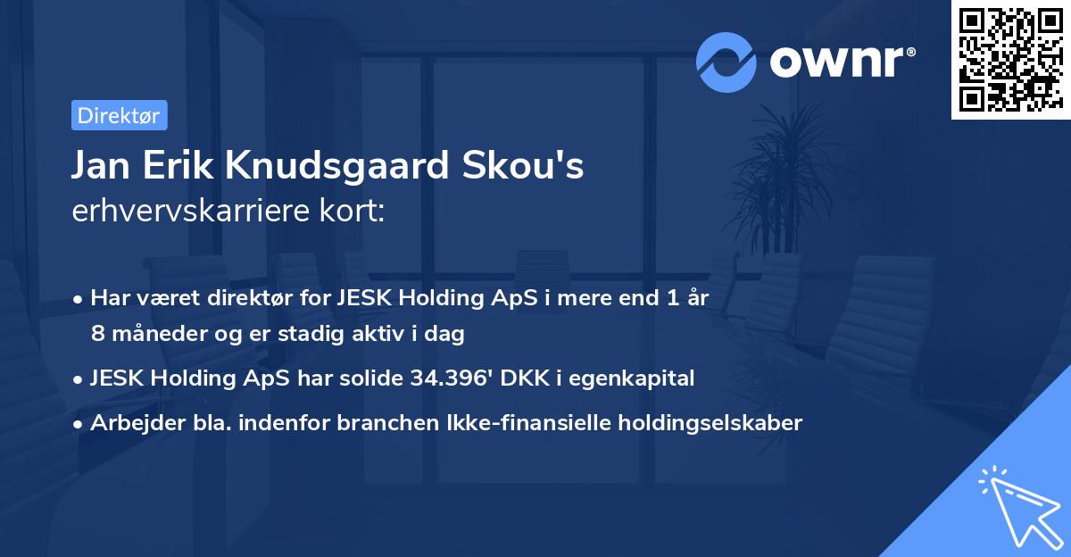 Jan Erik Knudsgaard Skou's erhvervskarriere kort