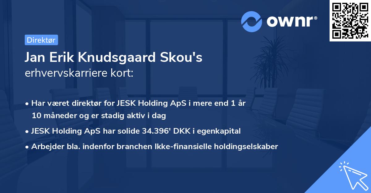 Jan Erik Knudsgaard Skou's erhvervskarriere kort