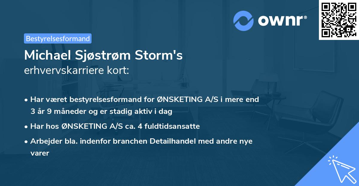 Michael Sjøstrøm Storm's erhvervskarriere kort