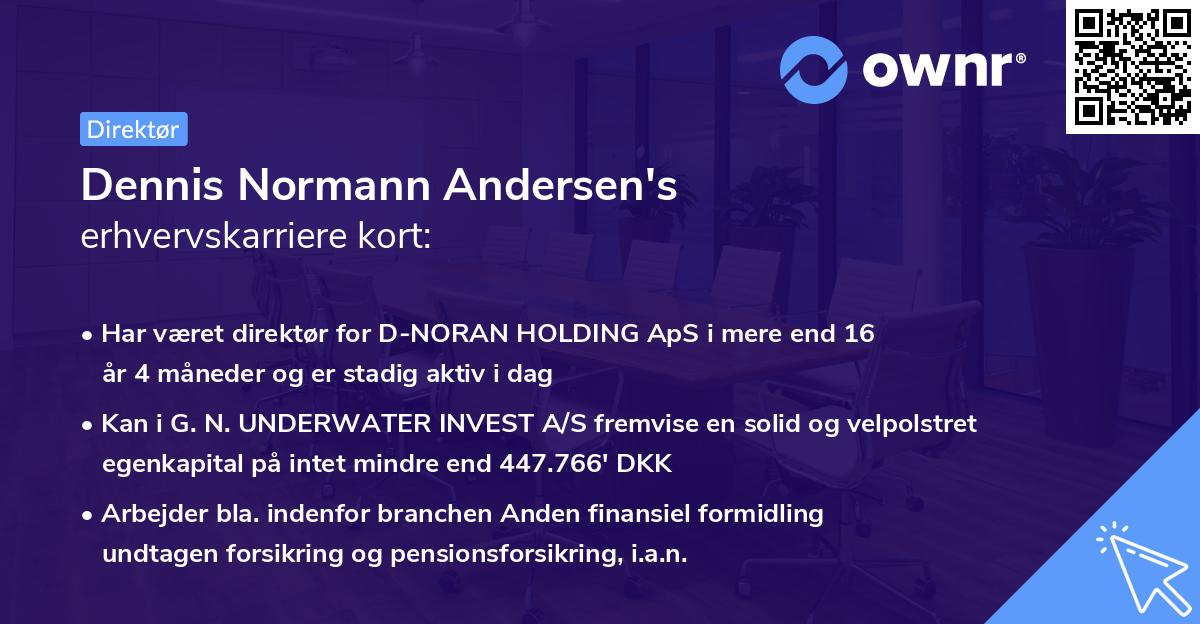 Dennis Normann Andersen's erhvervskarriere kort