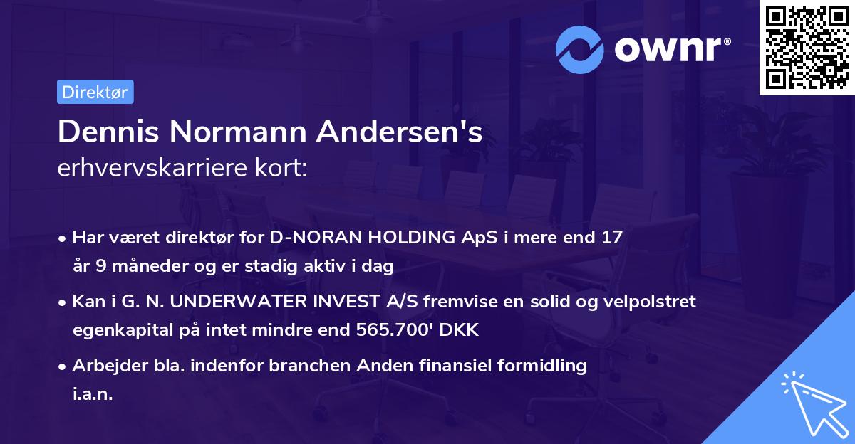 Dennis Normann Andersen's erhvervskarriere kort