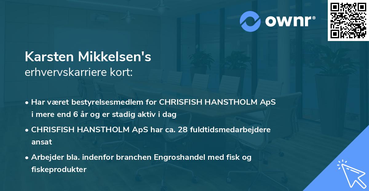 Karsten Mikkelsen's erhvervskarriere kort
