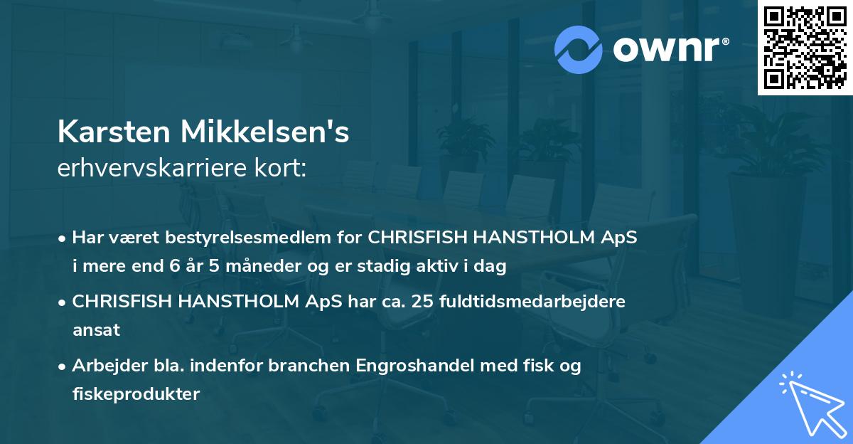 Karsten Mikkelsen's erhvervskarriere kort