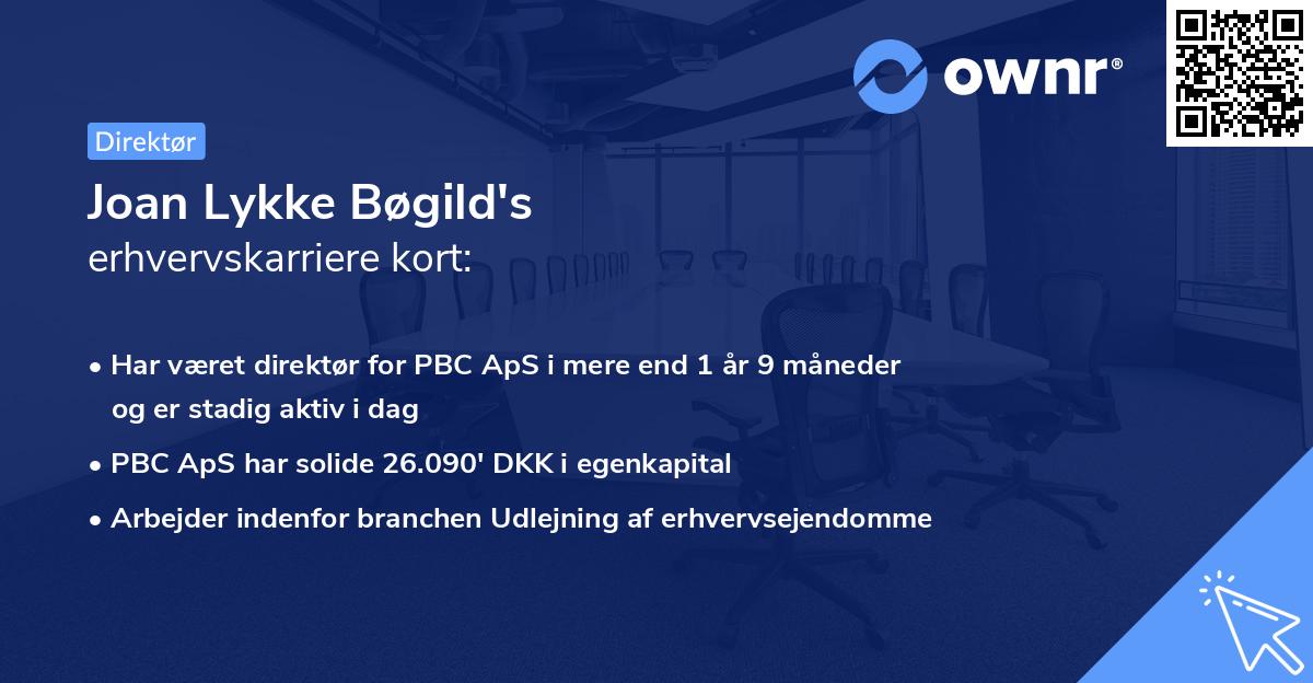Joan Lykke Bøgild's erhvervskarriere kort