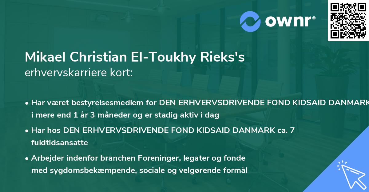 Mikael Christian El-Toukhy Rieks's erhvervskarriere kort