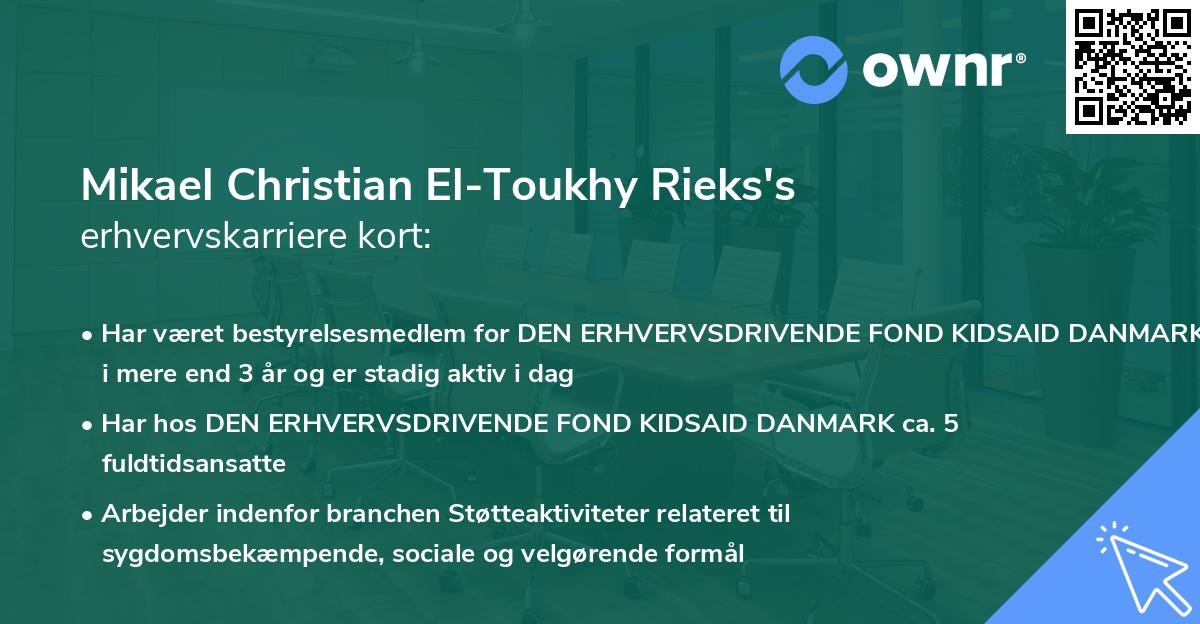 Mikael Christian El-Toukhy Rieks's erhvervskarriere kort
