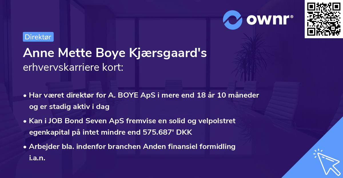 Anne Mette Boye Kjærsgaard's erhvervskarriere kort