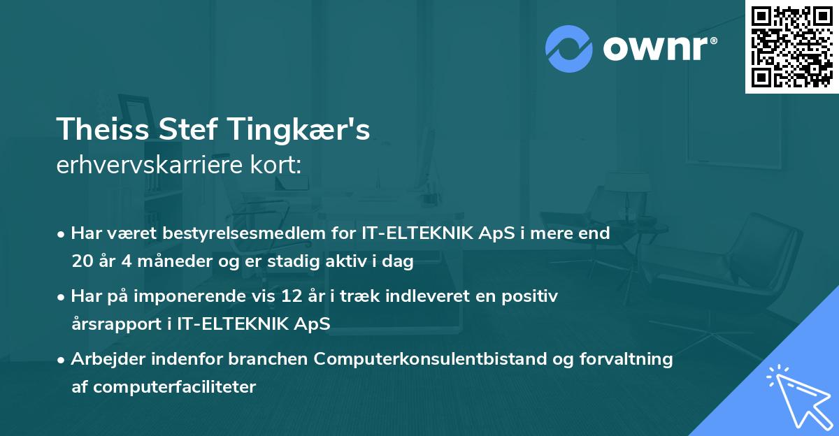Theiss Stef Tingkær's erhvervskarriere kort