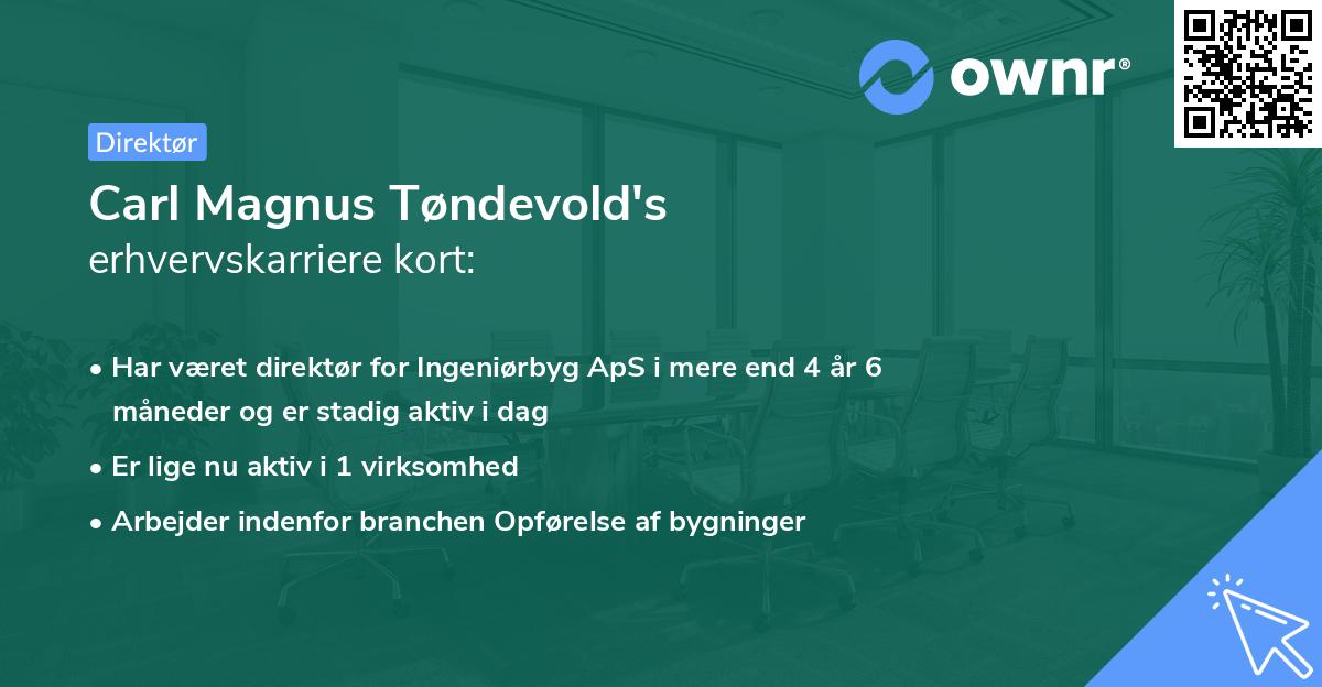 Carl Magnus Tøndevold's erhvervskarriere kort