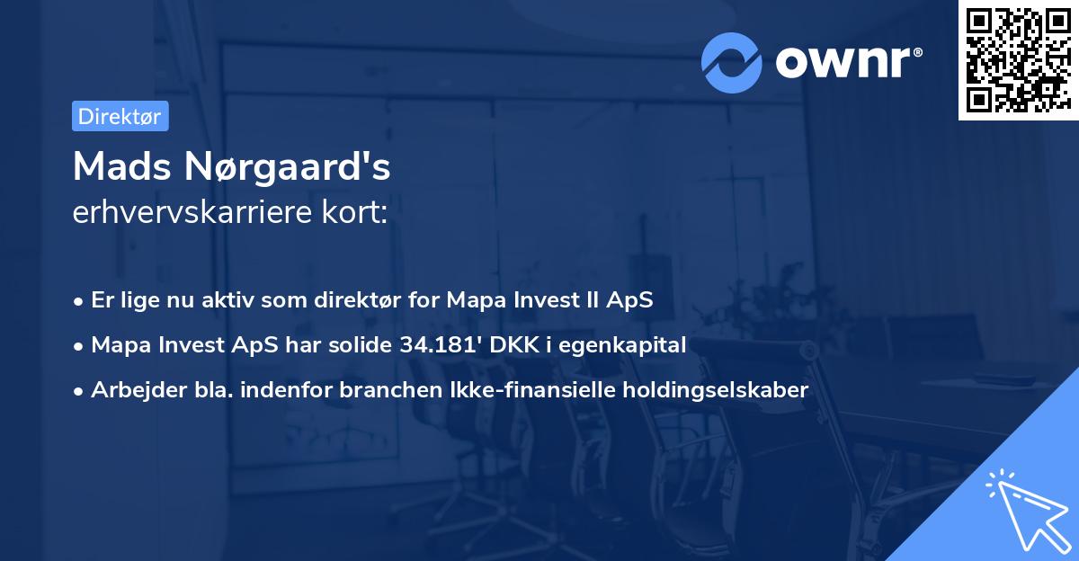 Mads Nørgaard's erhvervskarriere kort