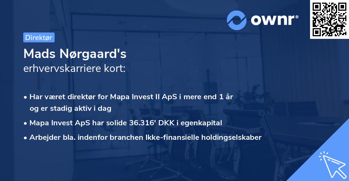 Mads Nørgaard's erhvervskarriere kort