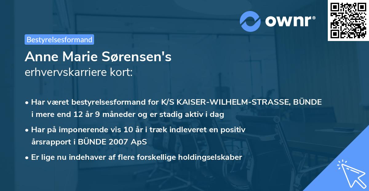 Anne Marie Sørensen's erhvervskarriere kort