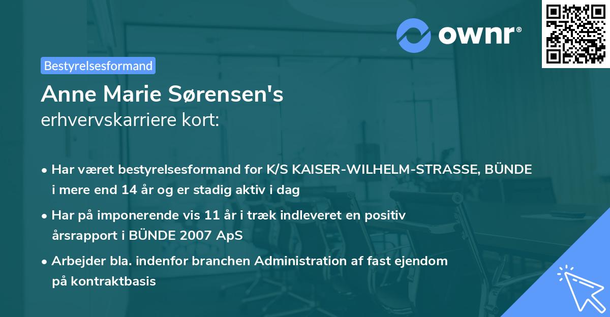 Anne Marie Sørensen's erhvervskarriere kort