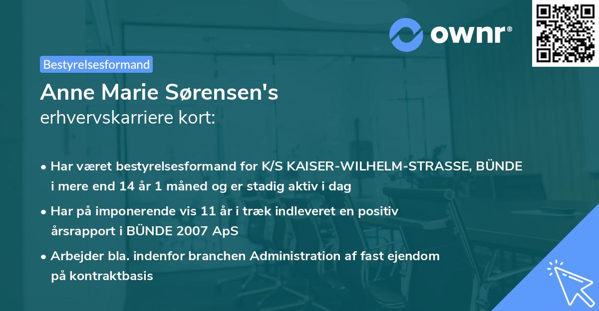 Anne Marie Sørensen's erhvervskarriere kort