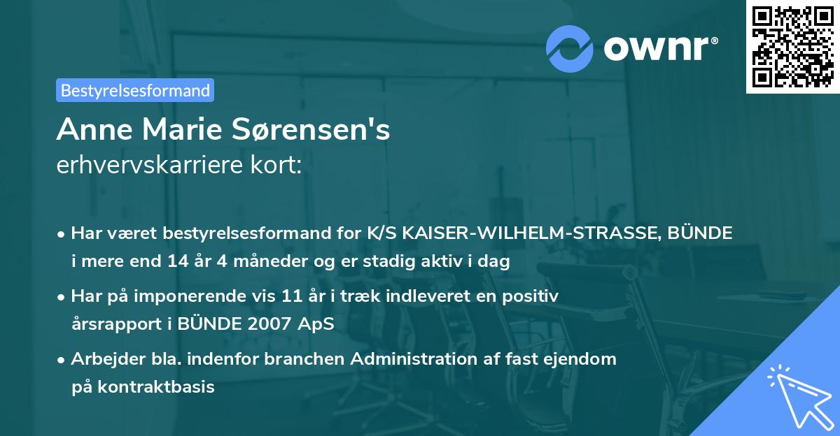 Anne Marie Sørensen's erhvervskarriere kort