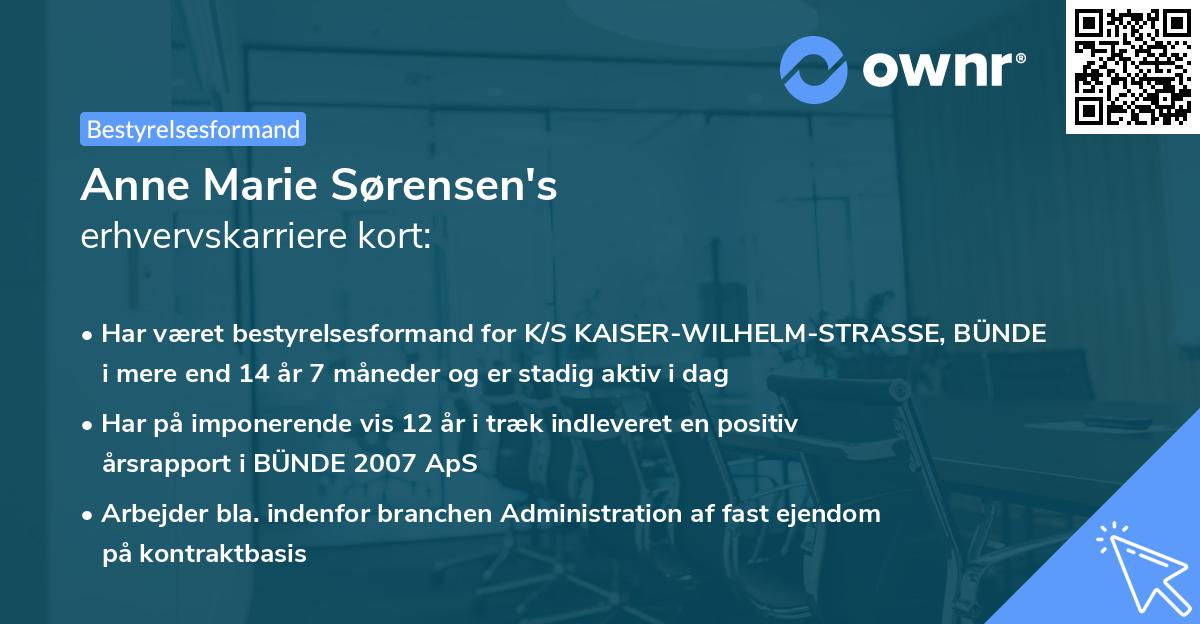 Anne Marie Sørensen's erhvervskarriere kort