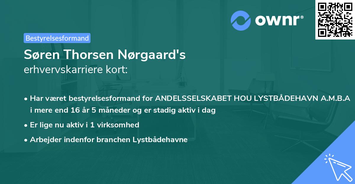 Søren Thorsen Nørgaard's erhvervskarriere kort