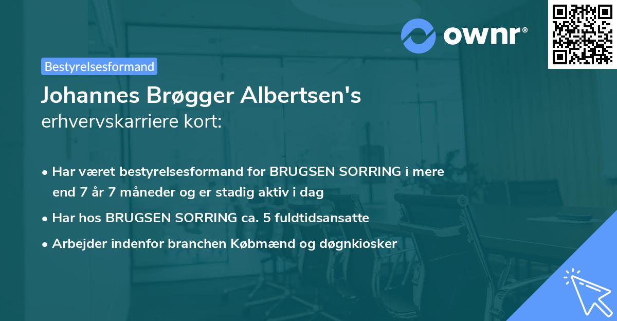 Johannes Brøgger Albertsen's erhvervskarriere kort