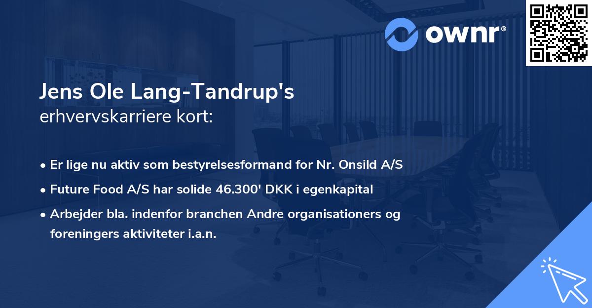 Jens Ole Lang-Tandrup's erhvervskarriere kort