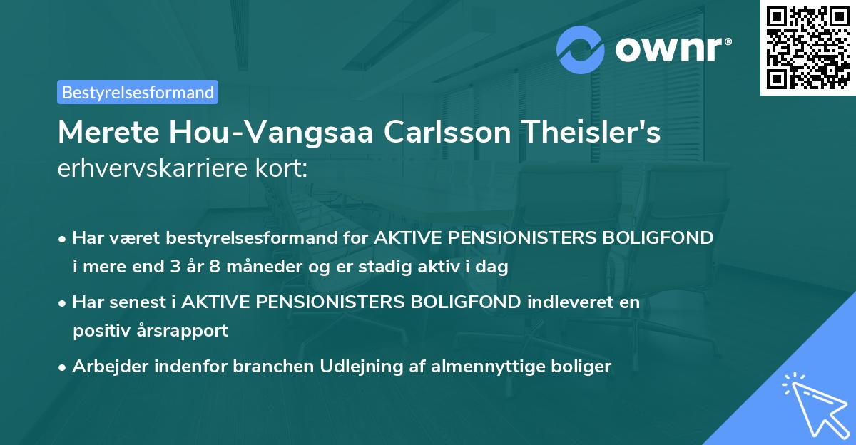 Merete Hou-Vangsaa Carlsson Theisler's erhvervskarriere kort