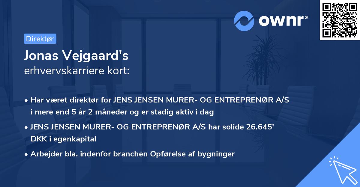 Jonas Vejgaard's erhvervskarriere kort