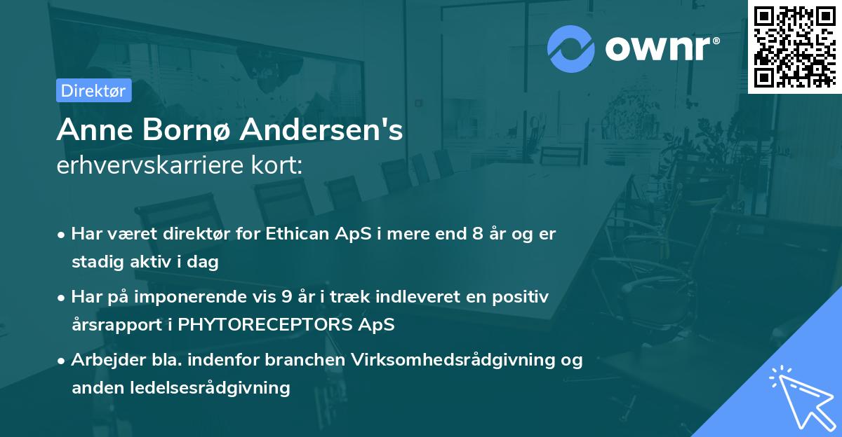 Anne Bornø Andersen's erhvervskarriere kort
