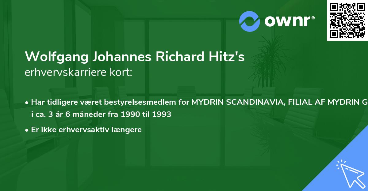 Wolfgang Johannes Richard Hitz's erhvervskarriere kort