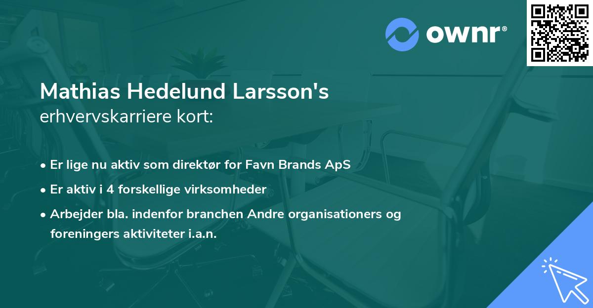 Mathias Hedelund Larsson's erhvervskarriere kort