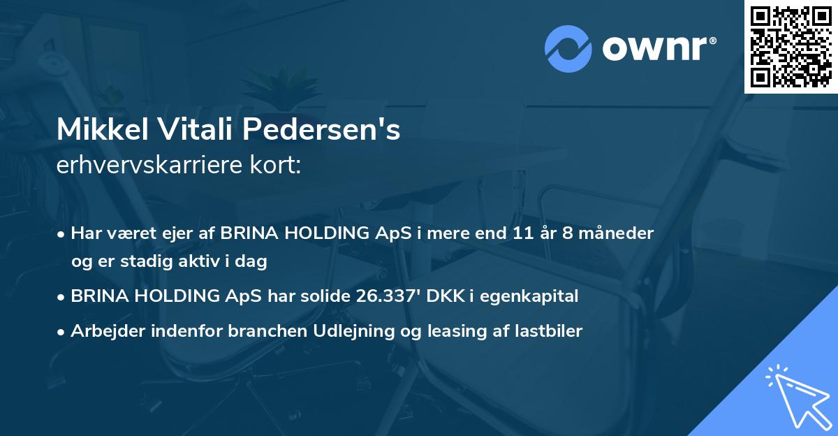 Mikkel Vitali Pedersen's erhvervskarriere kort