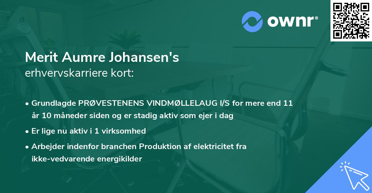 Merit Aumre Johansen's erhvervskarriere kort