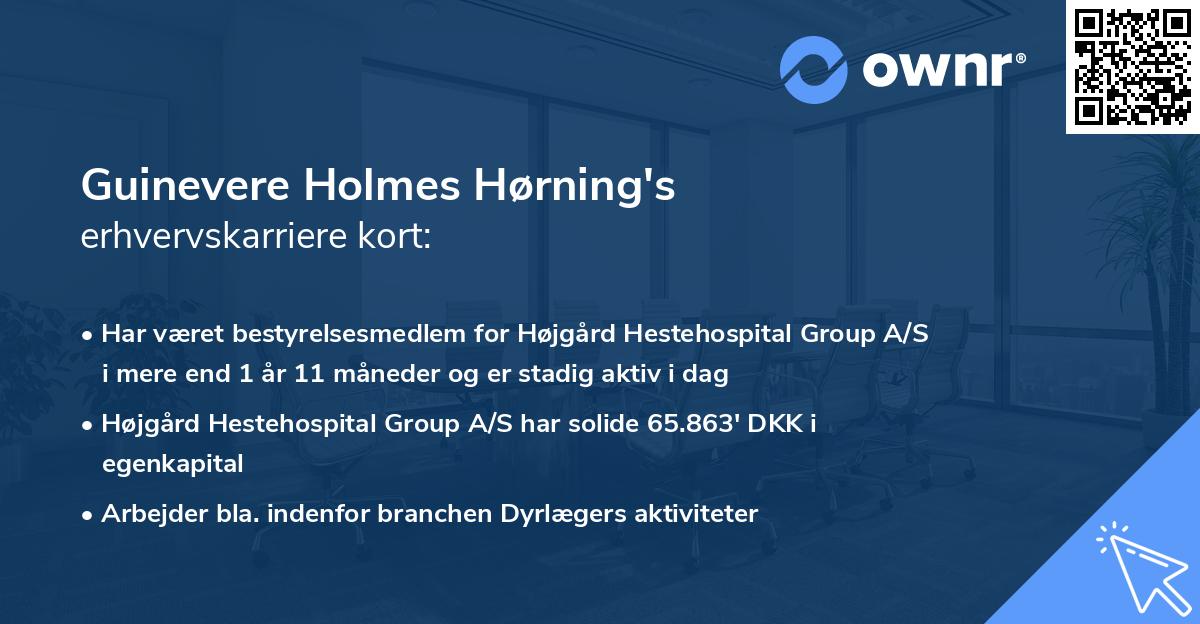 Guinevere Holmes Hørning's erhvervskarriere kort