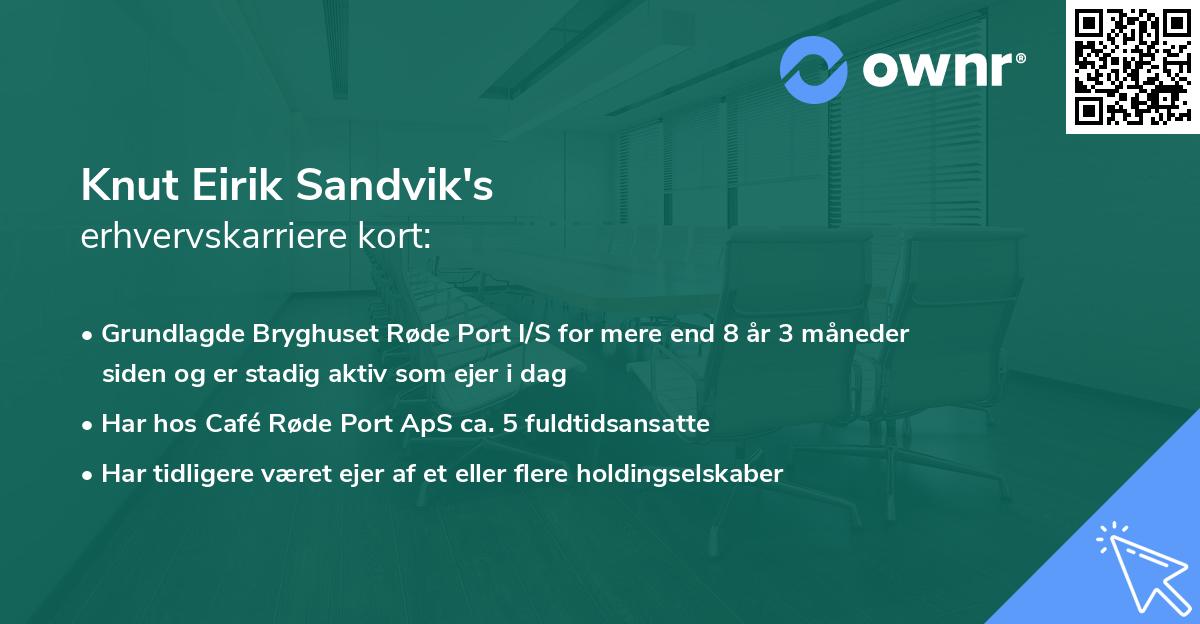 Knut Eirik Sandvik's erhvervskarriere kort