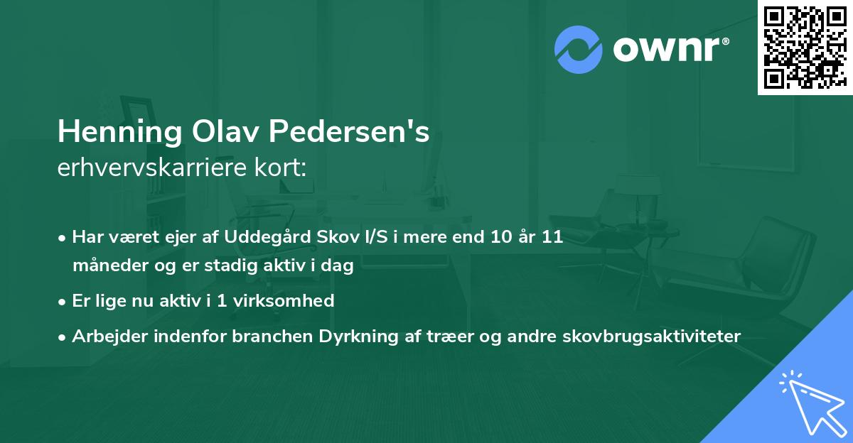 Henning Olav Pedersen's erhvervskarriere kort