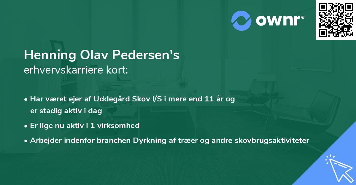 Henning Olav Pedersen's erhvervskarriere kort